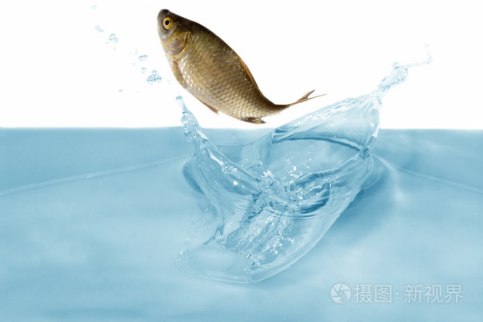 好大好硬使劲脔我爽视频,国产伦精品一区二区免费,欧美e片成人在线播放乱妇